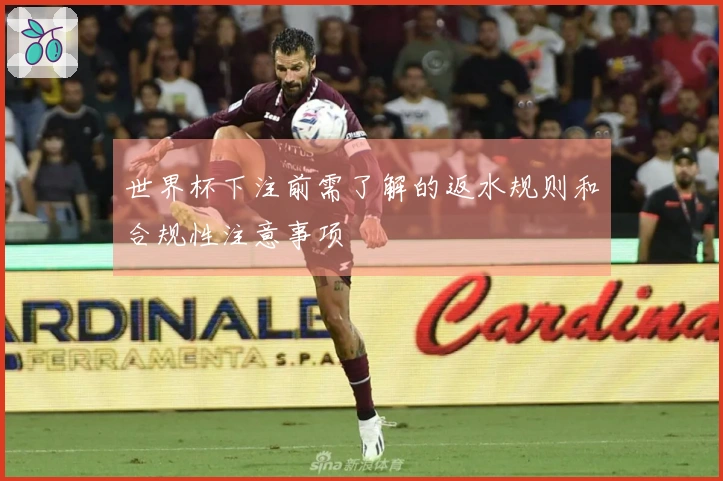 世界杯下注前需了解的返水规则和合规性注意事项