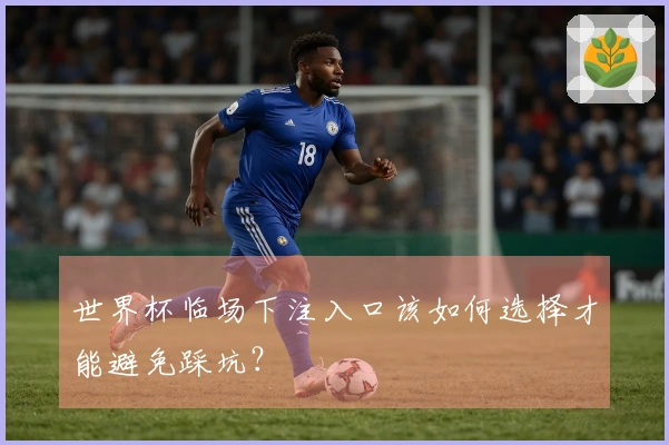世界杯临场下注入口该如何选择才能避免踩坑？