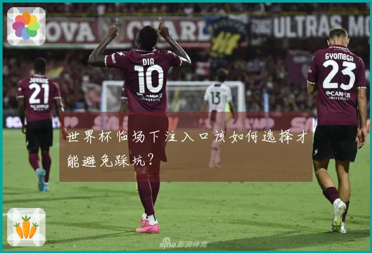 世界杯临场下注入口该如何选择才能避免踩坑？