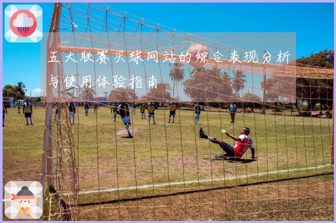 五大联赛买球网站的综合表现分析与使用体验指南