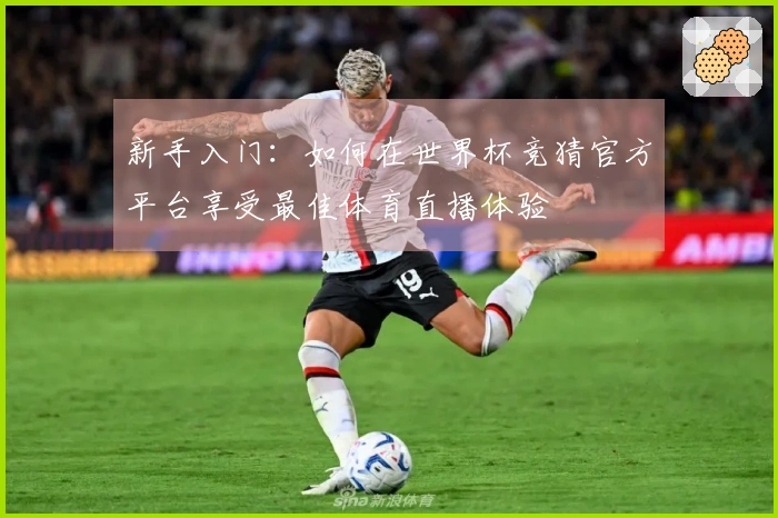 新手入门：如何在世界杯竞猜官方平台享受最佳体育直播体验
