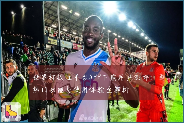 世界杯投注平台APP下载用户测评：热门功能与使用体验全解析