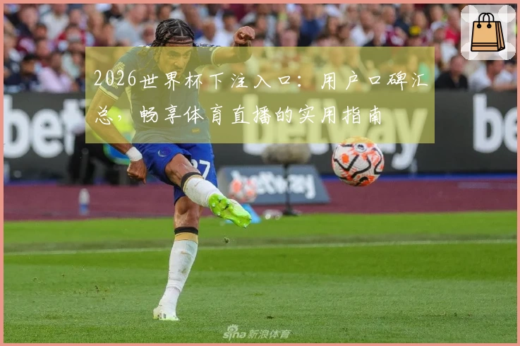 2026世界杯下注入口：用户口碑汇总，畅享体育直播的实用指南