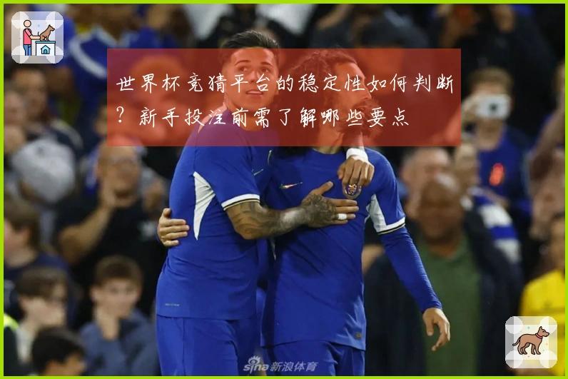 世界杯竞猜平台的稳定性如何判断？新手投注前需了解哪些要点